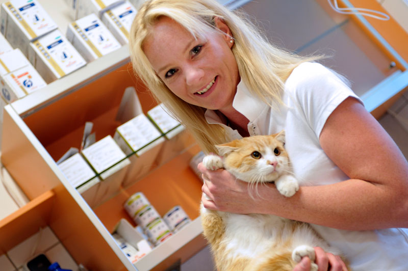Dr. Kerstin Gattinger